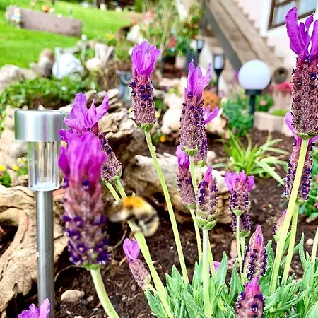 Sunnseit - Kitzbueheler Alpen *