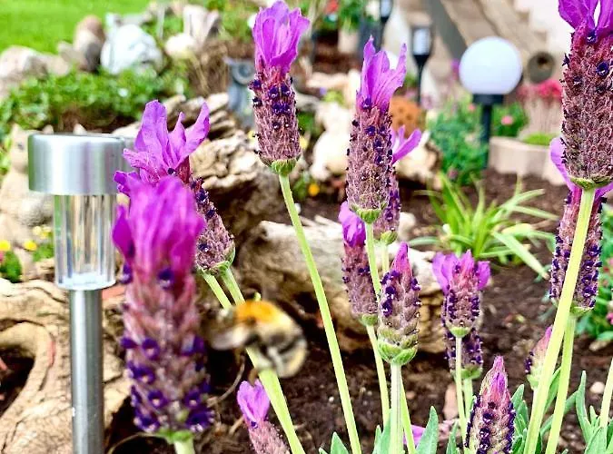 Sunnseit - Kitzbueheler Alpen *