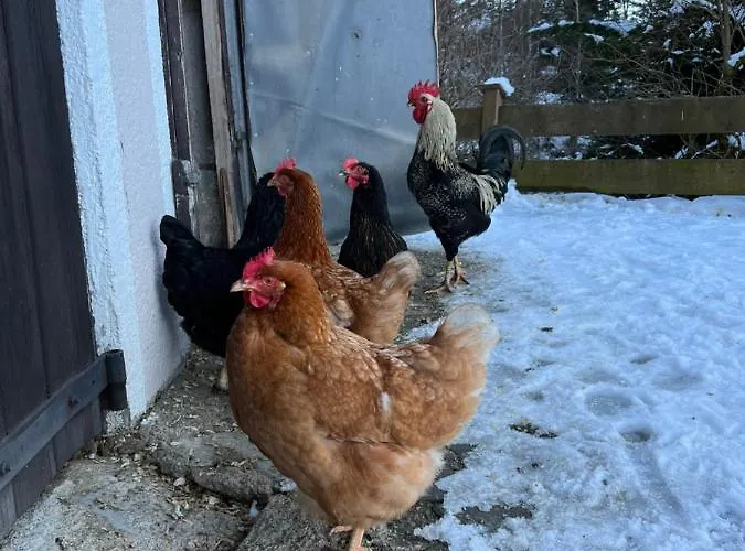 Lodge Sunnseit - Kitzbueheler Alpen *